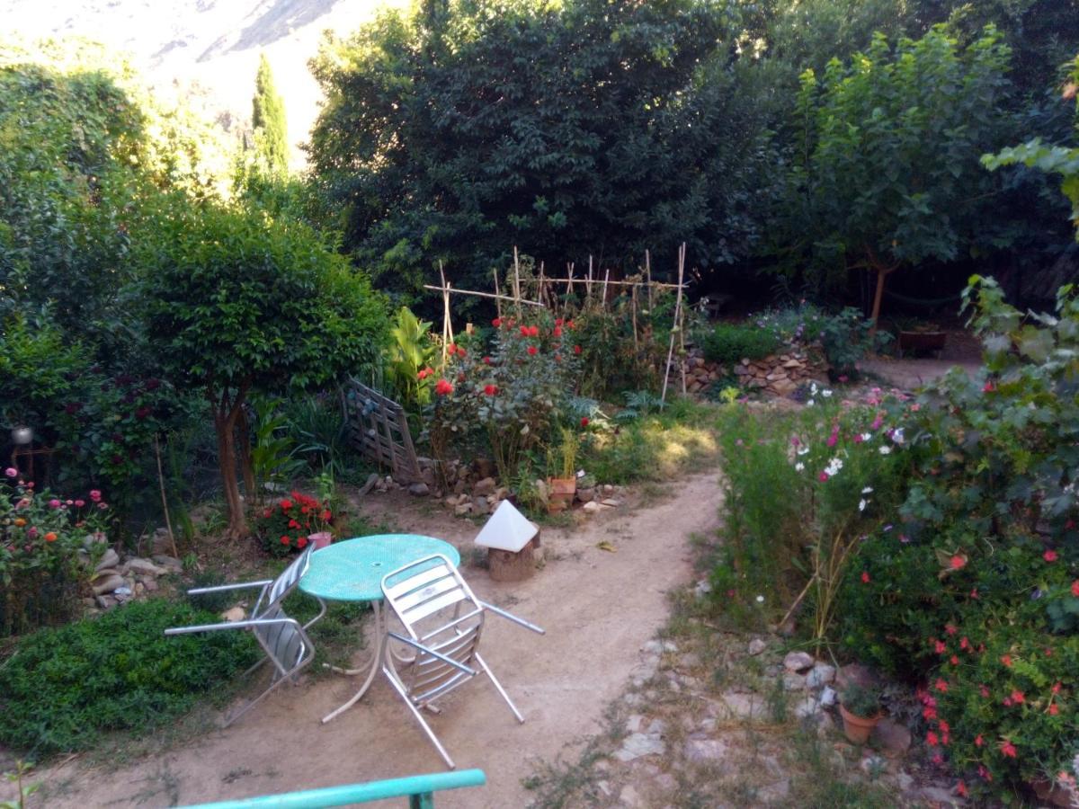 El Retiro De Isabel Guest House Embid de la Ribera Екстериор снимка