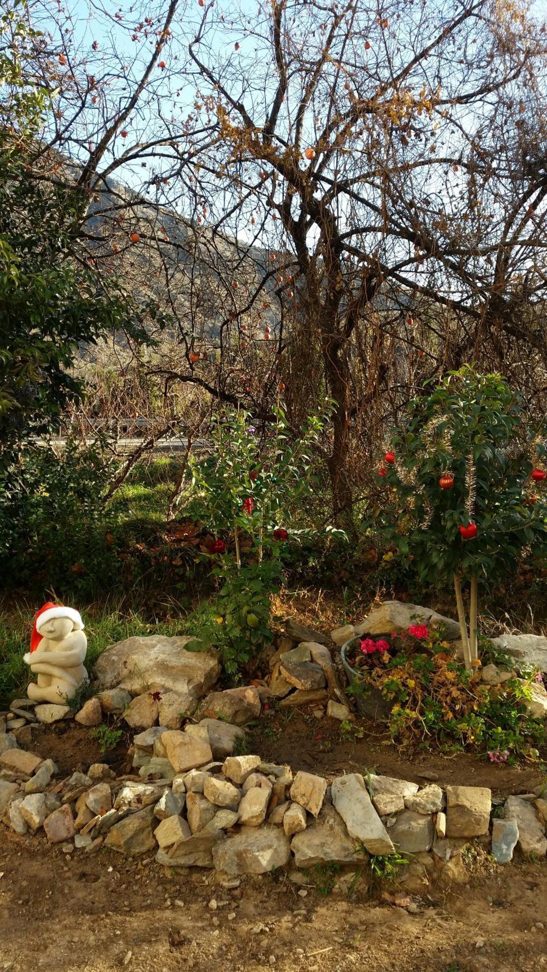 El Retiro De Isabel Guest House Embid de la Ribera Екстериор снимка